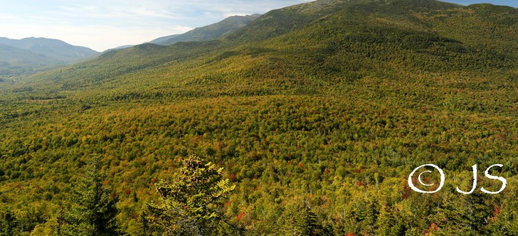 One of the many summit views 